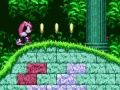 Jeu Puissant et Ray dans Sonic 2  en ligne