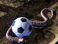 Jeu Simulateur de serpent Python  en ligne