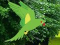 Jeu Perroquet trouver le nid  en ligne