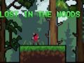 Jeu Perdu dans la forêt  en ligne