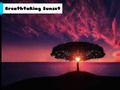 Jeu Coucher de soleil à couper le souffle  en ligne