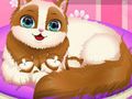 Jeu Mignon Kitty Enceinte  en ligne