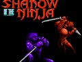 Jeu L'Ombre du Ninja  en ligne