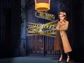 Jeu Épingler le détective  en ligne