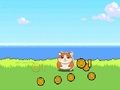 Jeu Cliqueur Hamster Kombat  en ligne