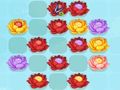 Jeu Match de fleurs-3  en ligne