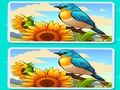 Jeu Trouvez les Différences Le Jardin  en ligne