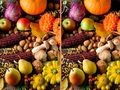Jeu Quelle est la différence?  en ligne