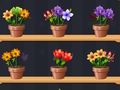 Jeu Bon maître des fleurs  en ligne