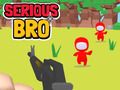 Jeu Sérieux frère  en ligne