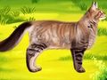 Jeu Chat Médecin pour animaux de compagnie Dentiste  en ligne