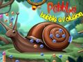 Jeu Évolution des bulles de galets  en ligne