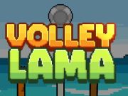 Jeu Volée Lama  en ligne