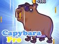 Jeu CapybaraPro  en ligne