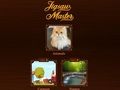 Jeu Maître du puzzle  en ligne