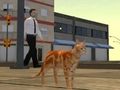 Jeu Simulateur de ville de chat  en ligne