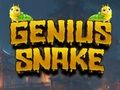 Jeu Serpent de génie  en ligne