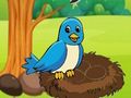 Jeu Aider la mère oiseau  en ligne