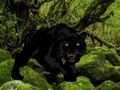 Jeu Échapper à la forêt de la Panthère Noire  en ligne