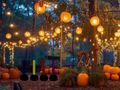 Jeu Halloween belle escapade dans le jardin  en ligne
