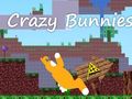Jeu Lapins fous  en ligne