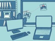 Jeu L'énigme du raton laveur  en ligne