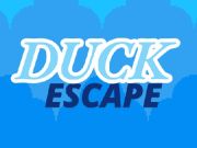 Jeu Évasion de canard  en ligne
