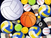 Jeu Fusion sportive  en ligne