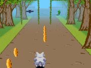 Jeu Coureur de loup  en ligne