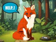 Jeu Sauvez le renard blessé  en ligne