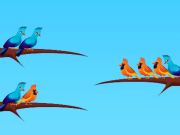 Jeu Tri des oiseaux  en ligne