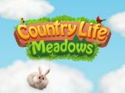 Jeu Prairies de la vie à la campagne  en ligne