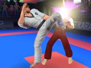 Jeu Combattant de karaté  en ligne