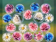 Jeu Fusionnez les fleurs !  en ligne