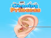 Jeu Princesse nettoyant  en ligne