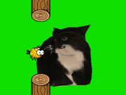 Jeu Flappy Bird Spinning Oia Oia Cat en ligne