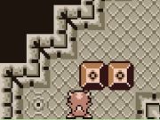 Jeu Dragon Sokoban  en ligne