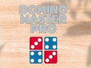 Jeu Domino Master Pro en ligne