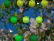Jeu Pomme juteuse  en ligne