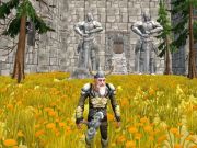 Jeu Hache des anciens naine fureur  en ligne