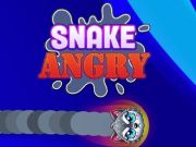 Jeu Serpent en colère  en ligne