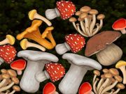 Jeu Fusionner  en ligne