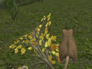 Jeu Souris forestière  en ligne