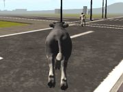 Jeu Crazy Bull City  en ligne