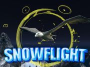 Jeu Vol de neige  en ligne