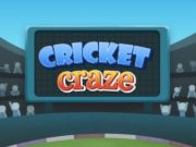 Jeu Engouement pour le cricket  en ligne