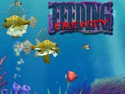 Jeu Feeding Frenzy en ligne