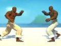 Jeu Capoeira Fighter  en ligne