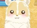 Jeu Amour du hamster  en ligne
