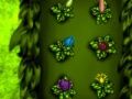 Jeu Les plantes détestent l'insecte  en ligne